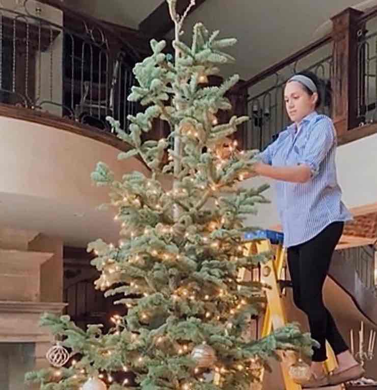 Meghan Markle albero